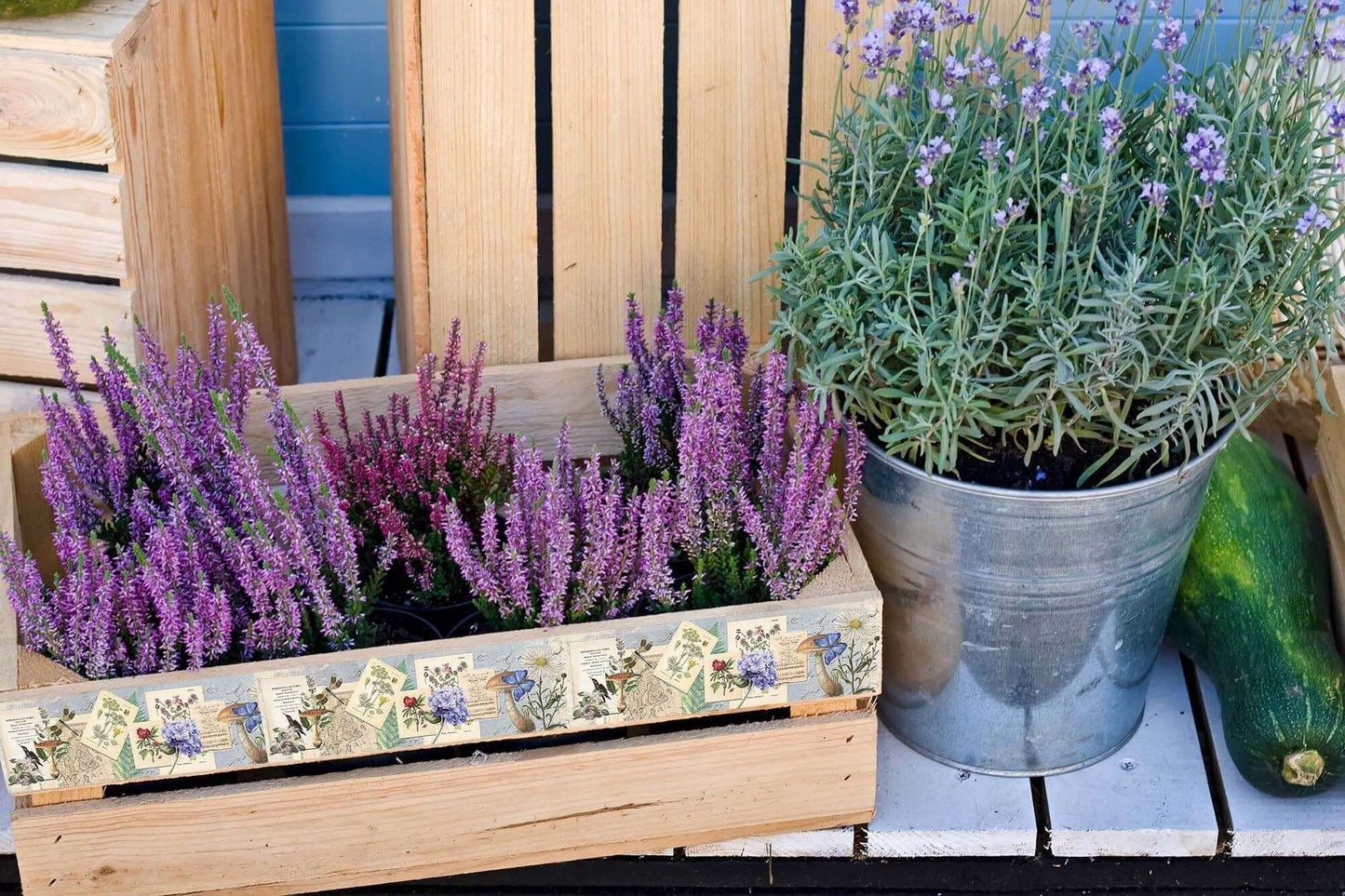 Ruban washi cottagecore de fleurs sauvages naturelles, autocollants découpés et ensemble d'étiquettes autocollantes. INCL Bandes extra larges et extra longues !
