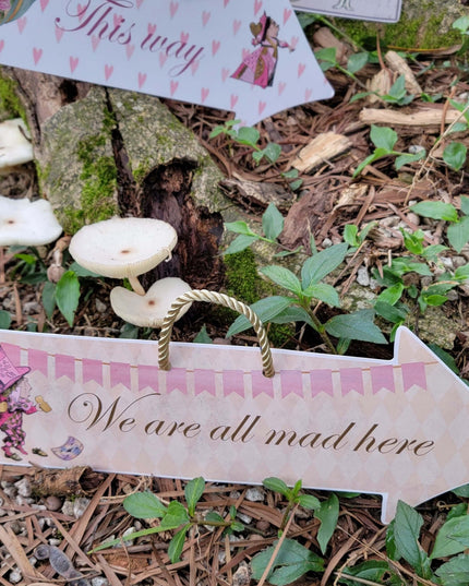 Alice in Wonderland (Mad Hatter Tea Party) Hanging Heart, Arrow Signs. Set of 13 actual signs for party props and decorations