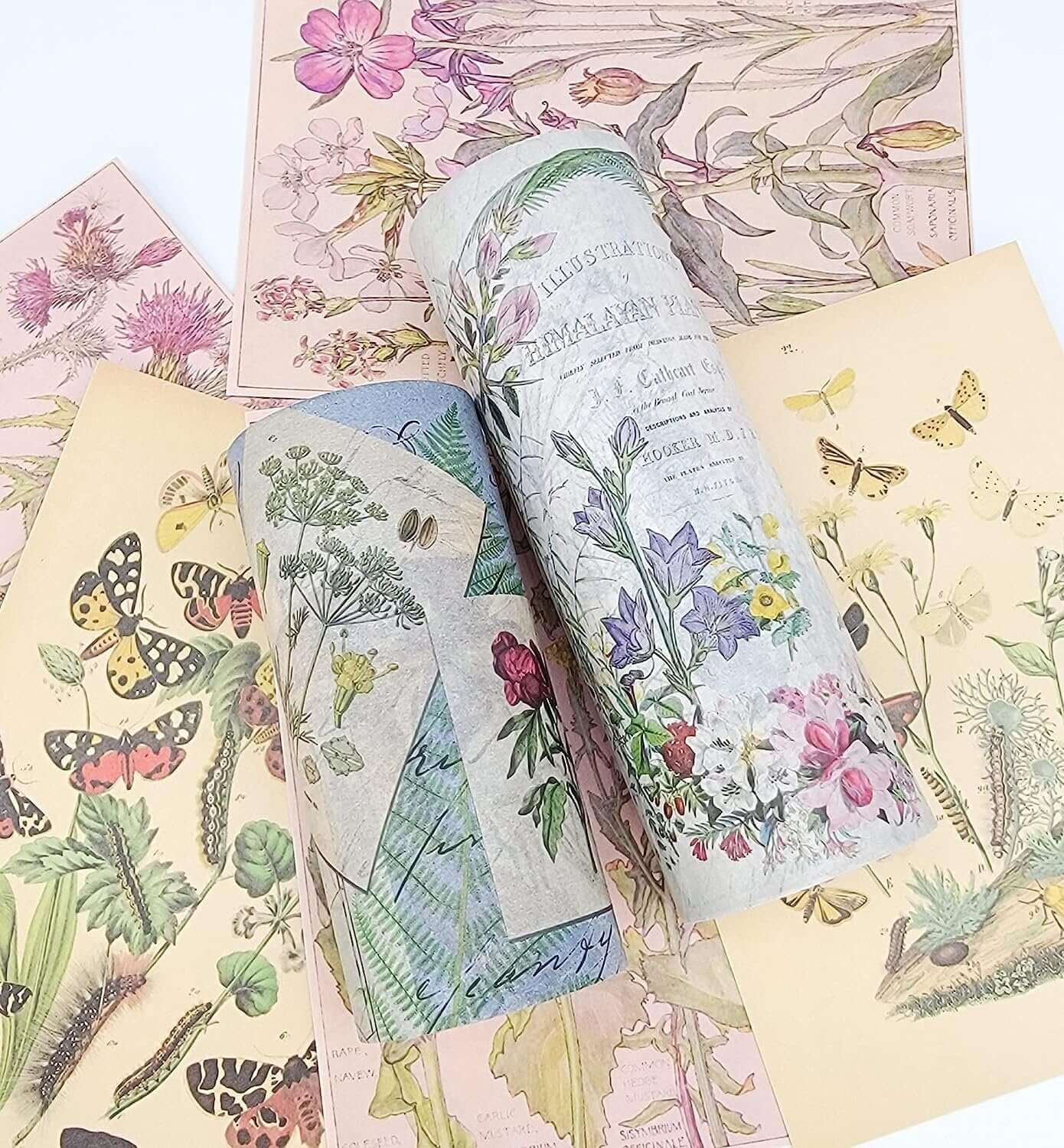 Natural Gardens Butterflies, Birds, & Flowers Theme washi Tapes and Sticker Set. Extra Wide/Long Tapes!