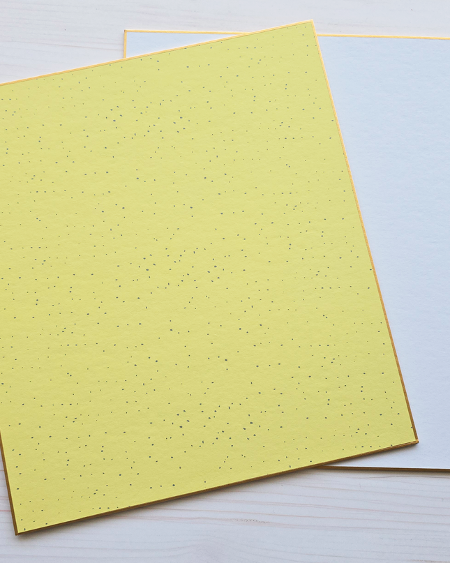 Set of 2 Shikishi art boards